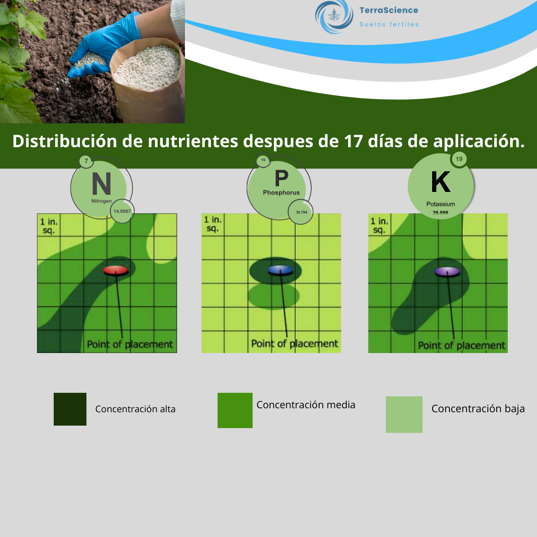 Movilidad de los nutrientes, ¡que no se te escapen!