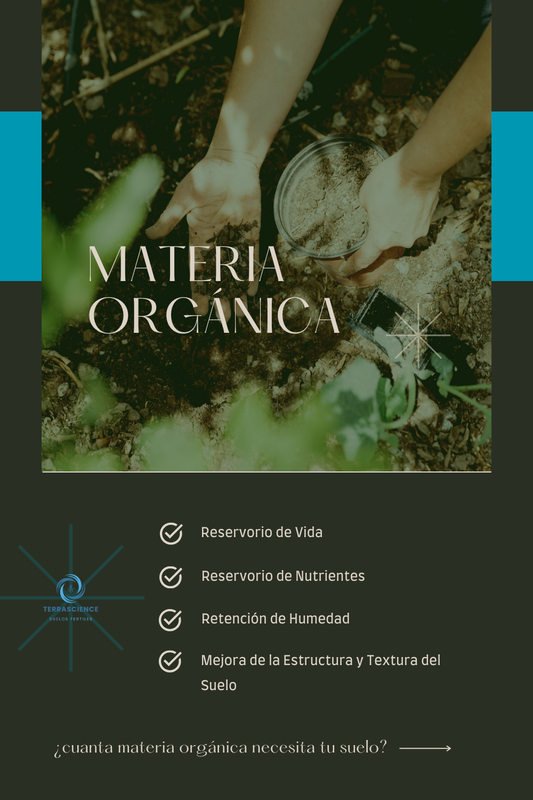 Materia orgánica: la vida de tus suelos.